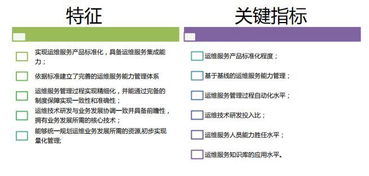 干货全面剖析 ITSS信息技术服务标准与信息咨询服务