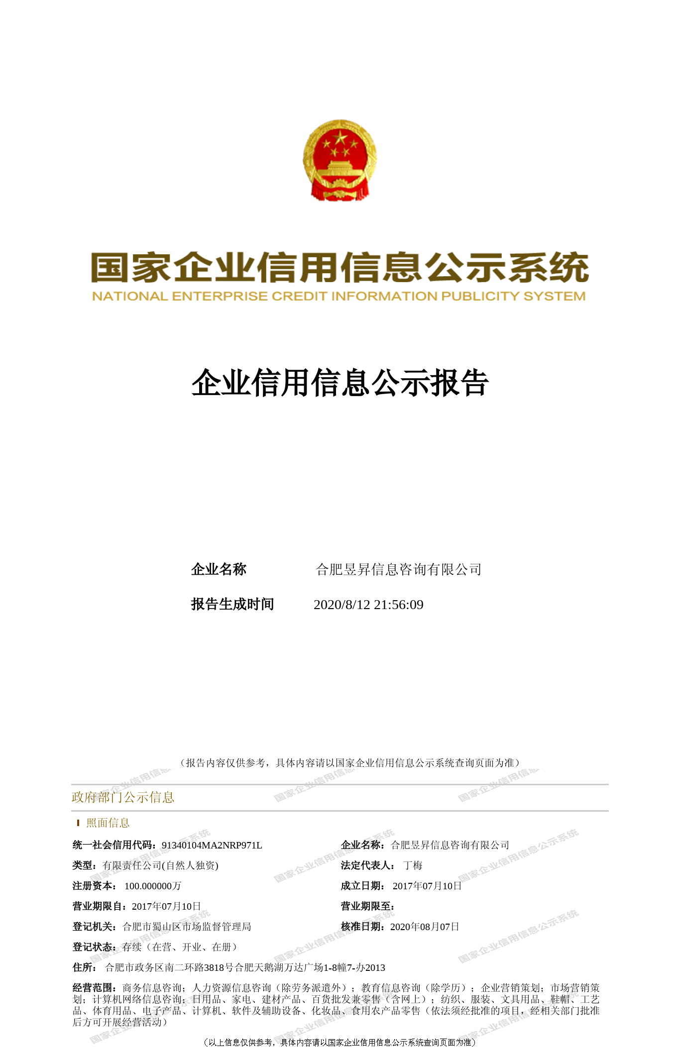 合肥昱升信息咨询 专业驱动，赋能企业决策新高度